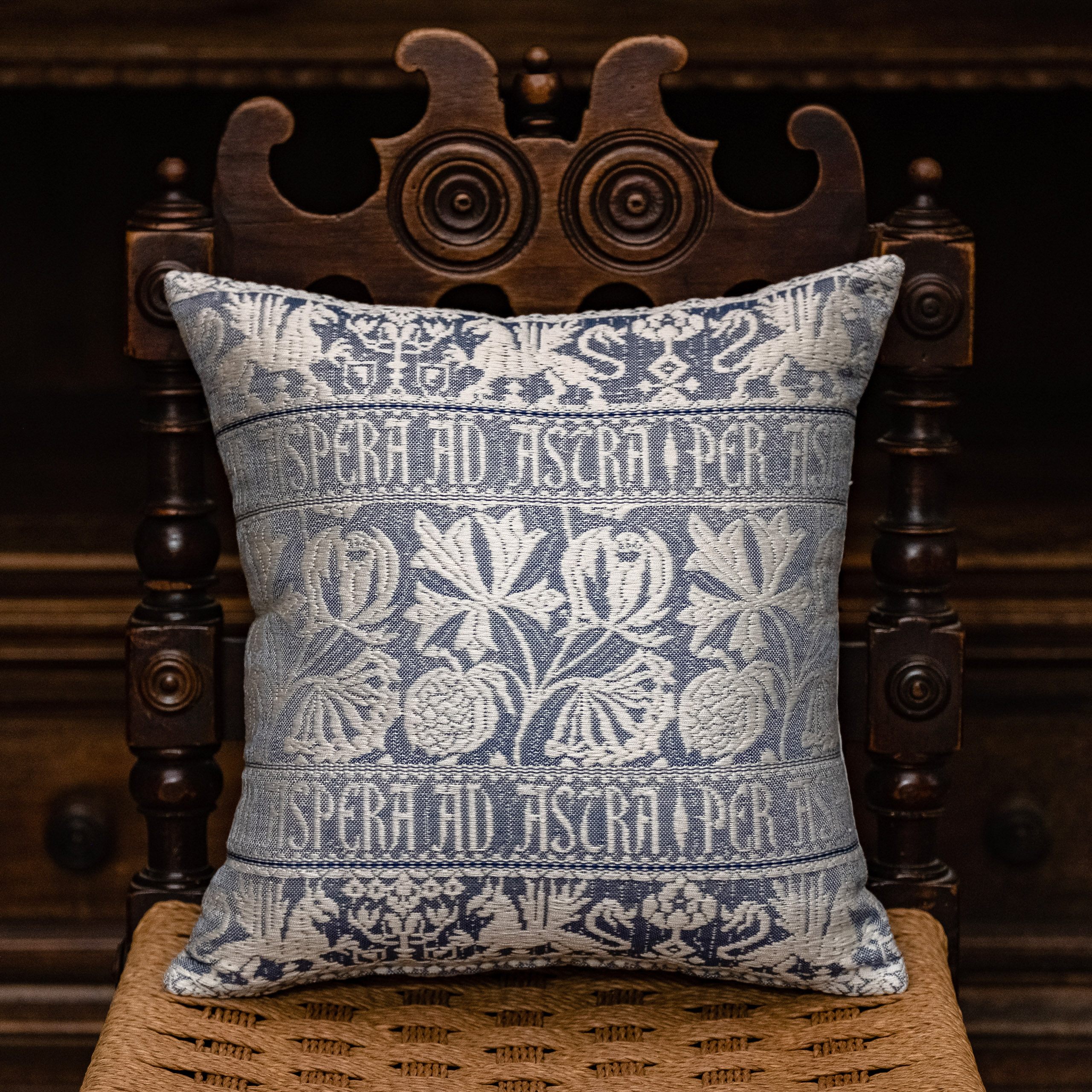 Cotton and velvet "Griffin" cushion - Cotton, Cushions